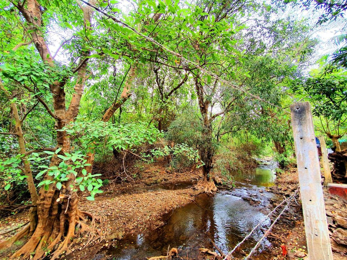 The Wilds Villa Gir Jungle Stay With Swimming Pool Sasan Gir Exterior photo